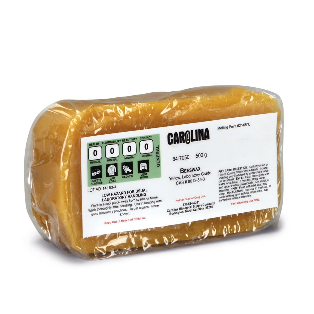 Grocery Carolina Biological Supply