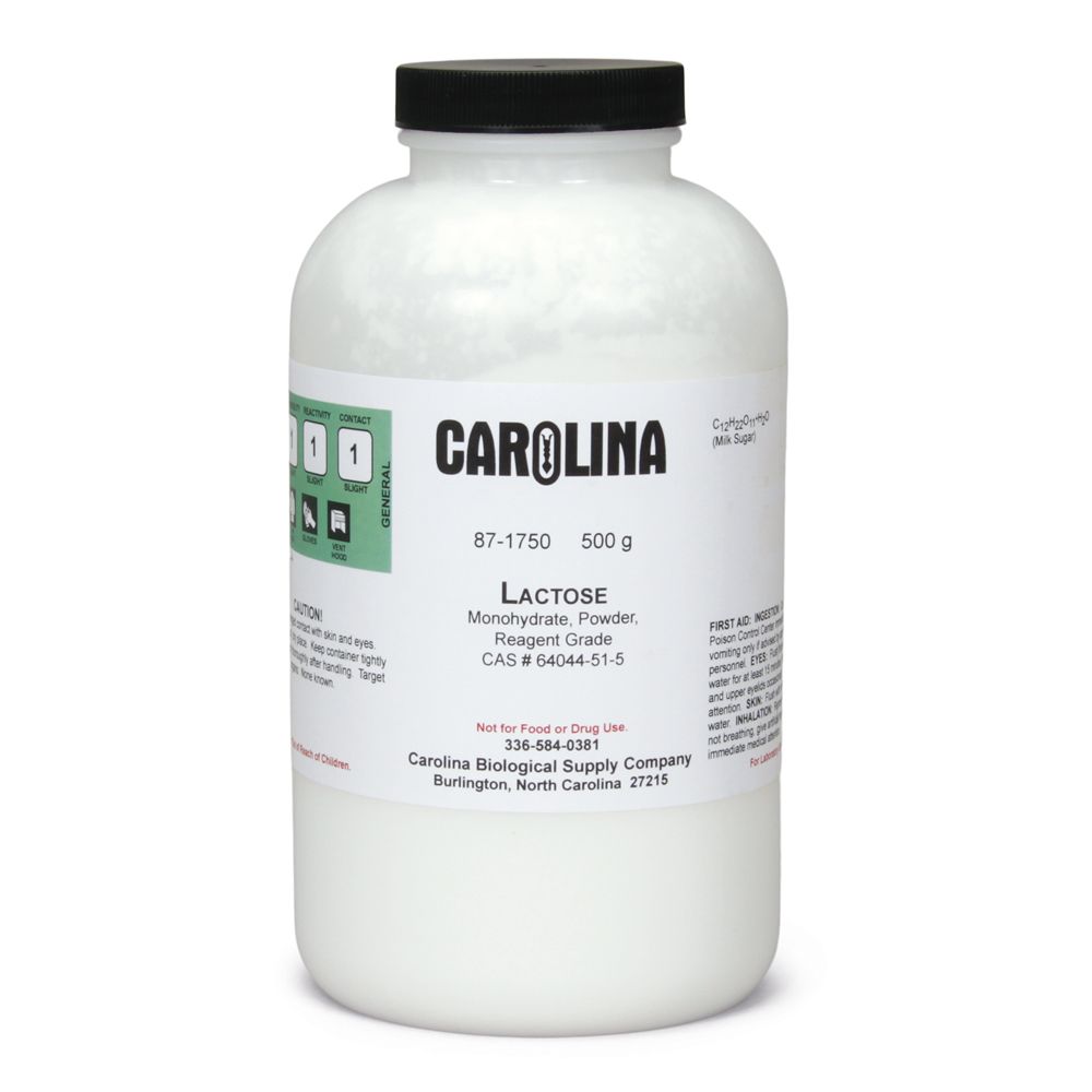 Lactose, Monohydrate, Reagent Grade, 500 g Carolina Biological Supply