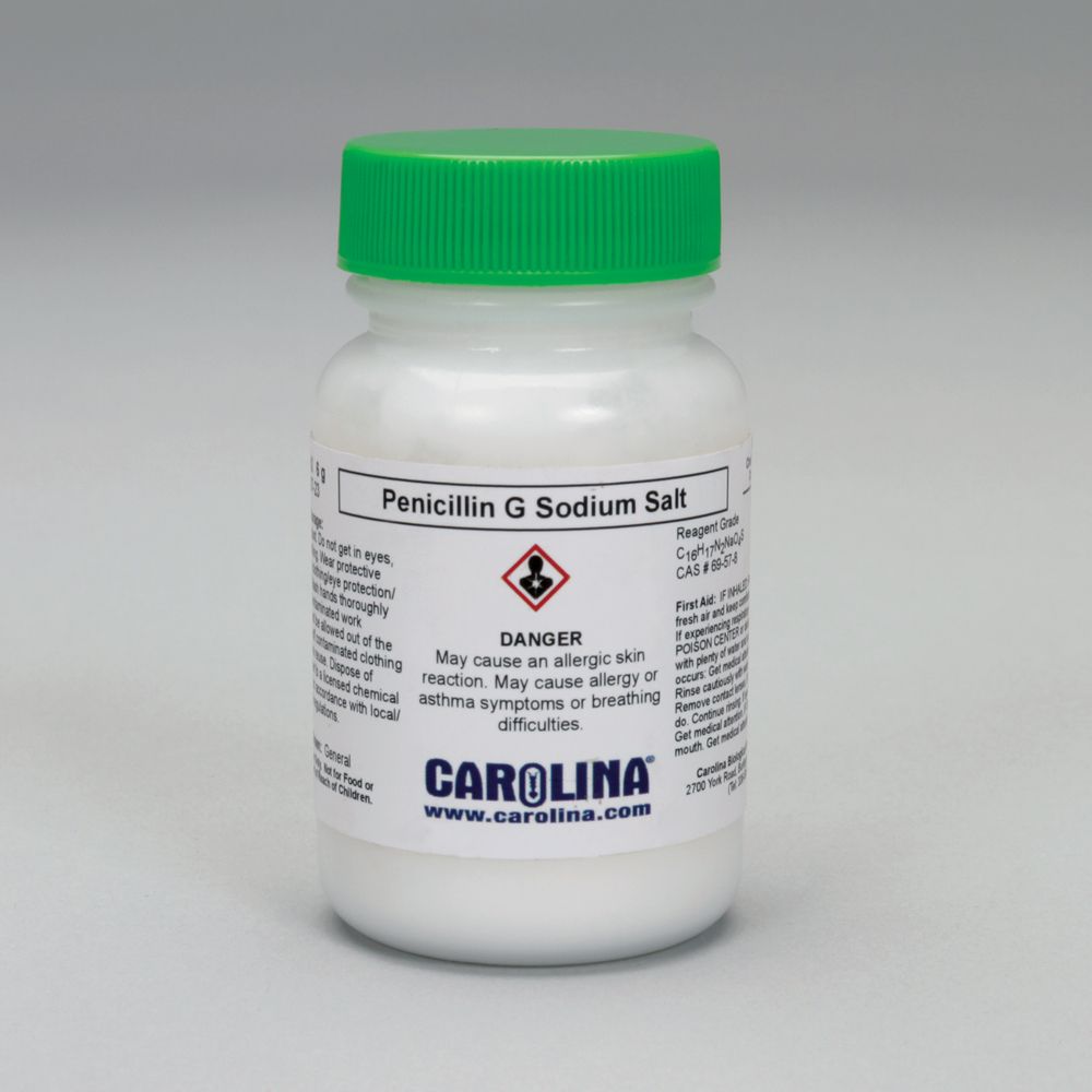 PenicillinG, Sodium Salt, Reagent Grade, 6 g Carolina Biological Supply