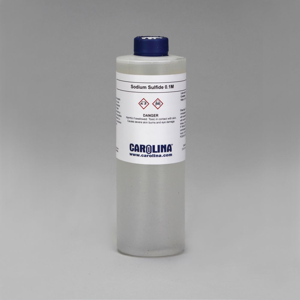 Sodium Sulfide Solution, 0.1 M, Aqueous, Laboratory Grade, 500 mL