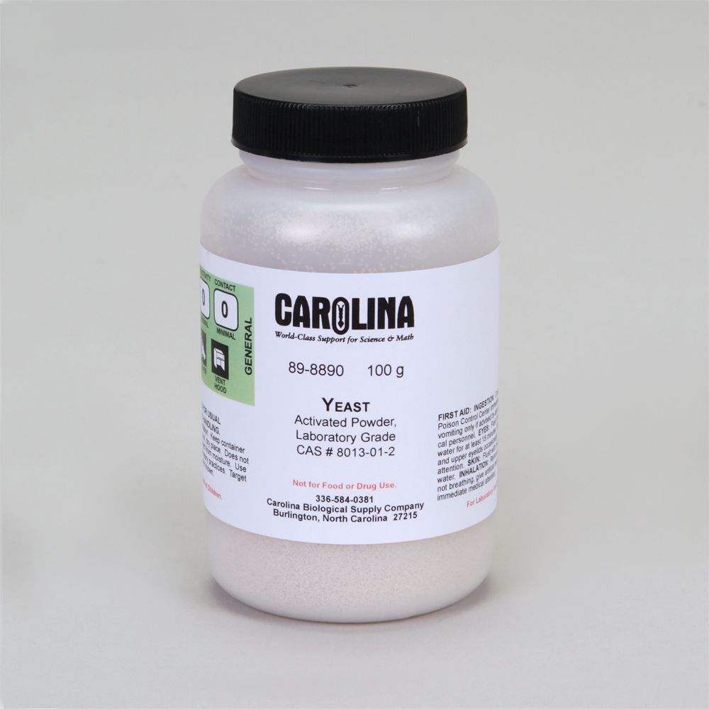 Yeast, Powder, Activated, Laboratory Grade, 100 g Carolina Biological