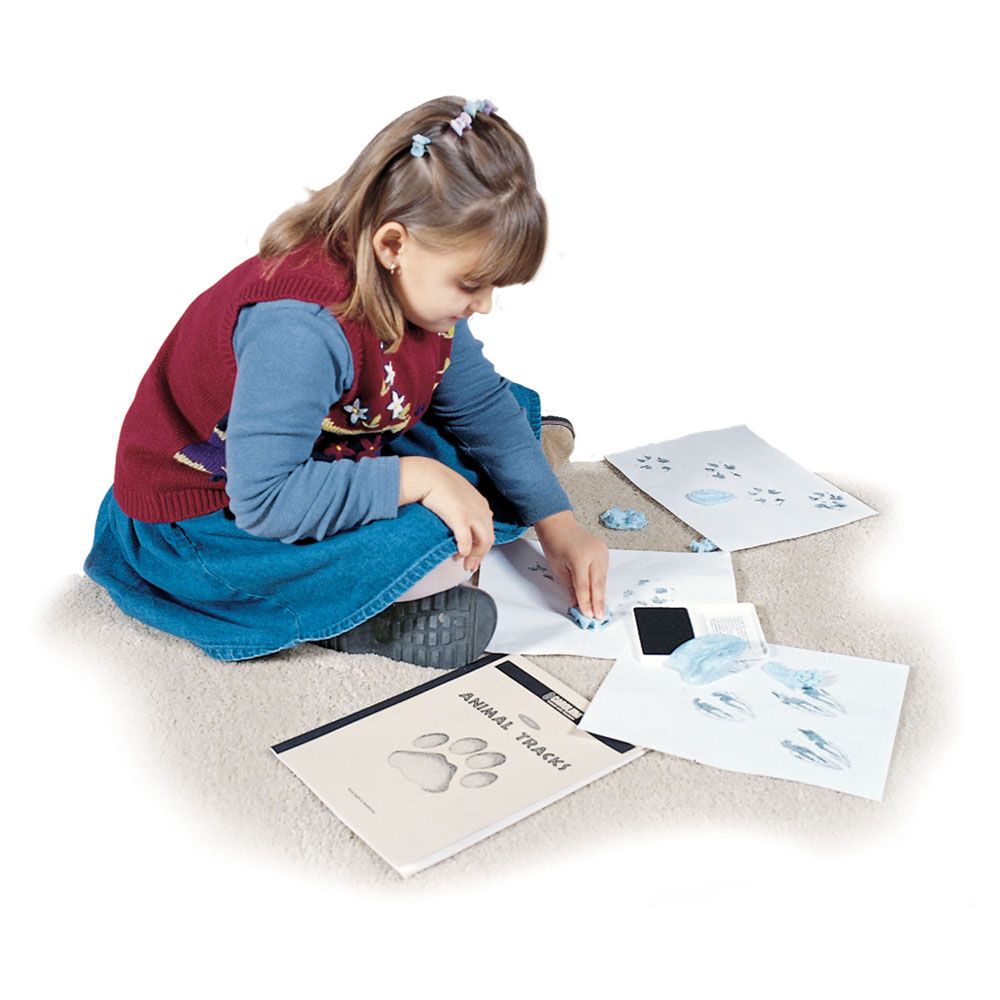 Animal Tracks Kit Carolina Biological Supply