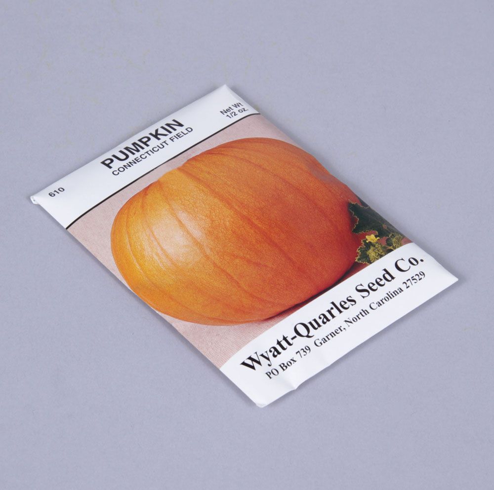 Seed, Pumpkin, Pack of 60