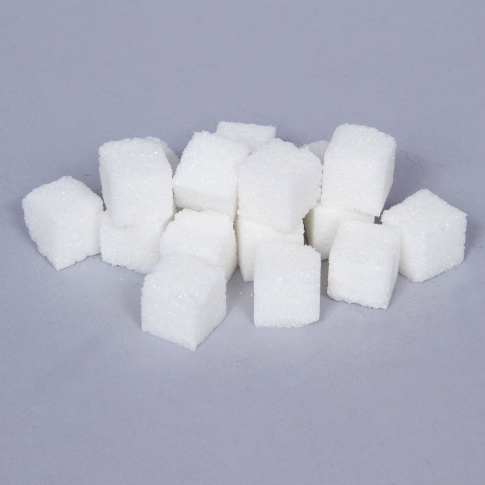 Sugar Cube, Pack of 17 Carolina Biological Supply