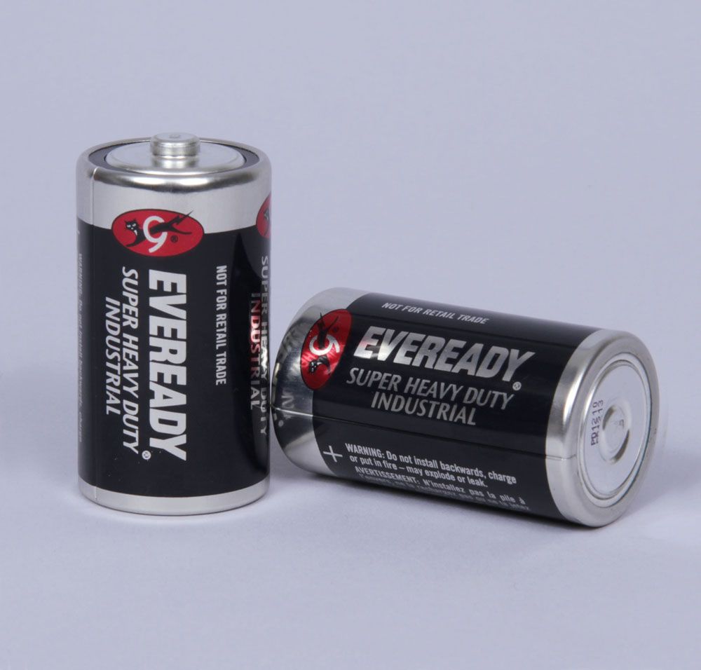 Battery, Size D, Pack of 2 Carolina Biological Supply