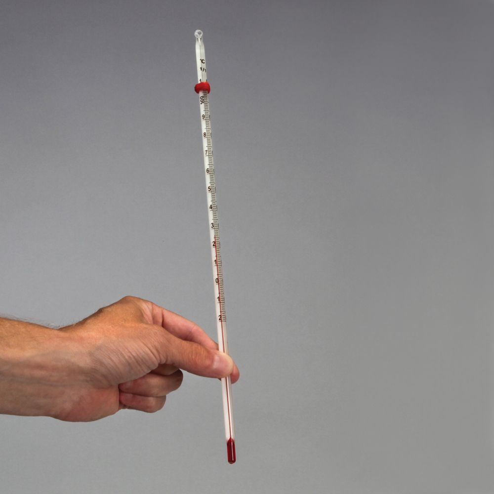 Thermometer, Alcohol Carolina Biological Supply