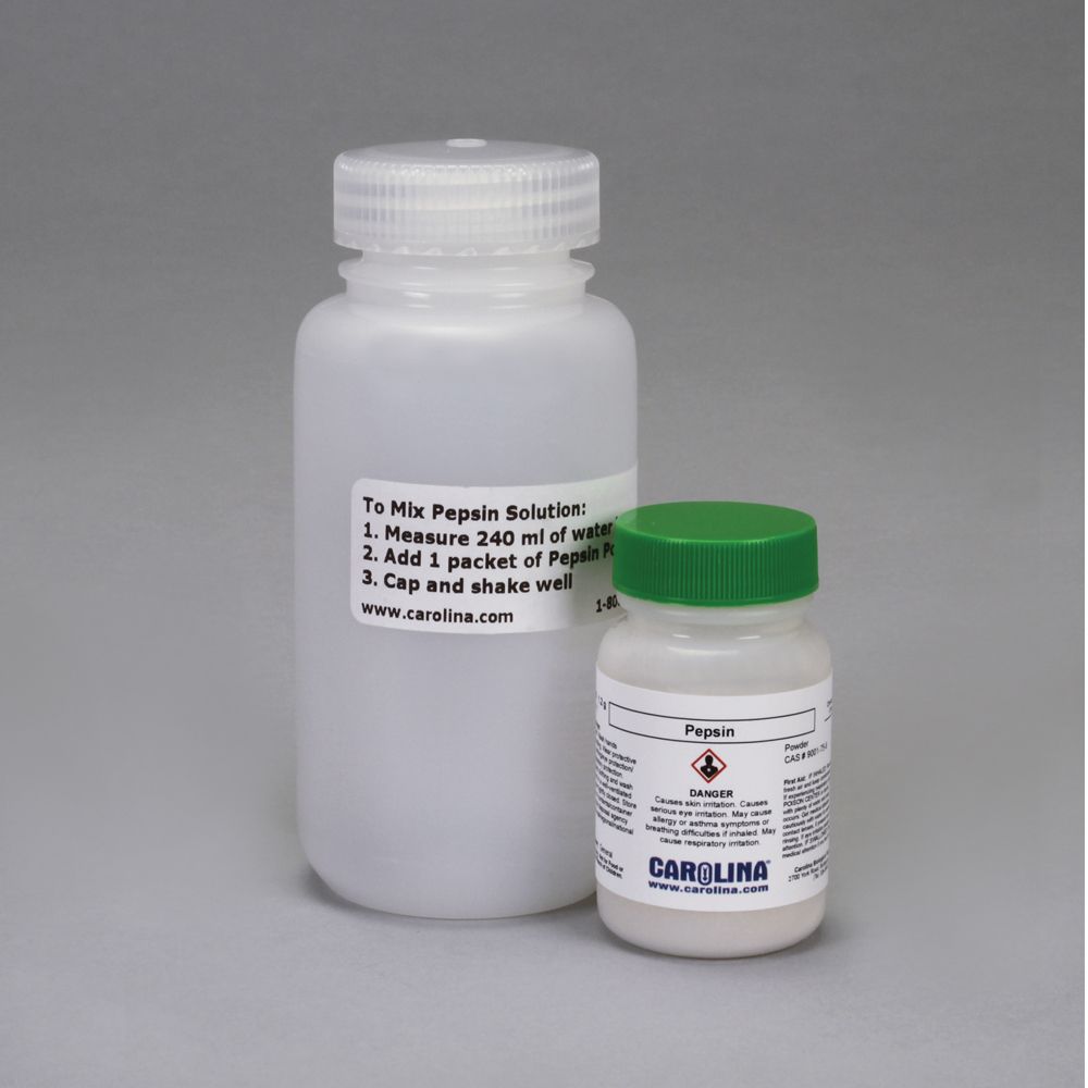 Pepsin Solution Set Carolina Biological Supply