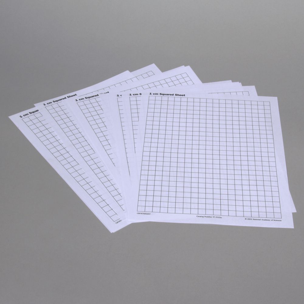 Paper Graph Centimeter Grid Pack Of 20 Carolina