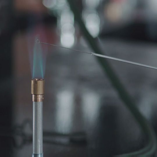 Video How to Use a Bunsen Burner Carolina Biological Supply
