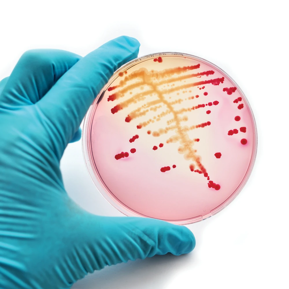 Biochemical Testing | Carolina Biological Supply