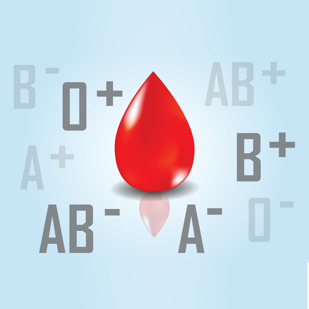 Blood Typing Chart Teaching Resources