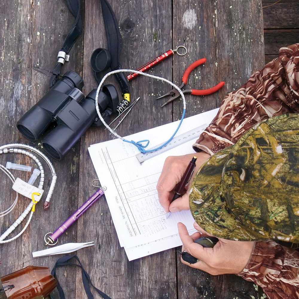 Field Collection | Carolina Biological Supply