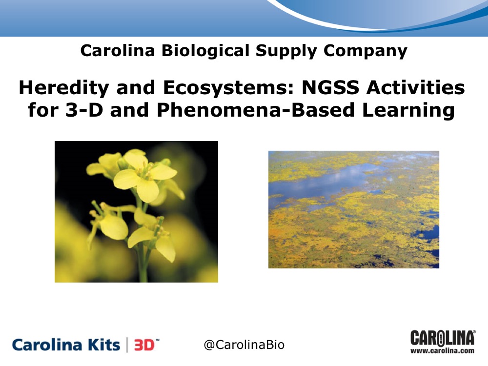 Heredity and Ecosystems: NGSS Activities for 3-D and Phenomena-Based Learning