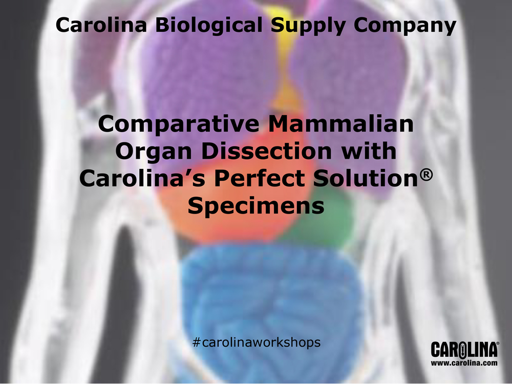 Comparative Mammalian Organ Dissection with Carolina’s Perfect Solution