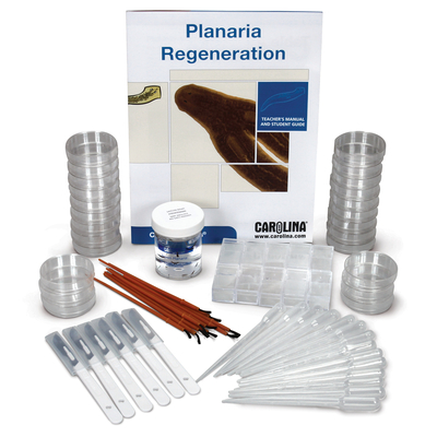 Planaria Regeneration Kit With Perishable 1