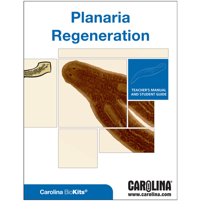 Planaria Regeneration Digital Resources