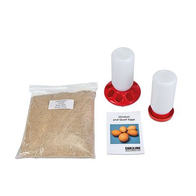 Chick Feeding Set