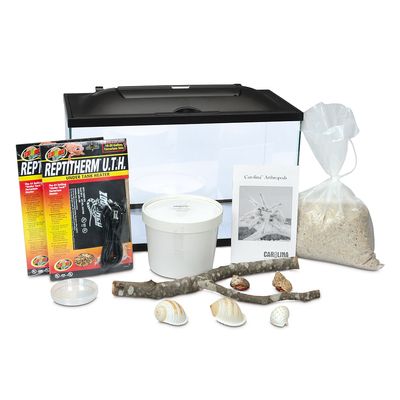 Land Hermit Crab Terrarium Habitat Kit With Voucher