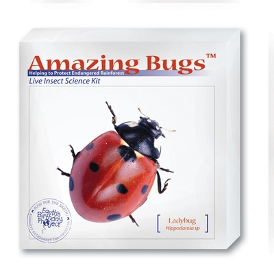 Ladybug Amazing Bugs Kit With Voucher