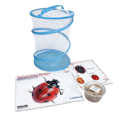 Ladybug Amazing Bugs Kit Ladybug Kit With Live Lady Bugs