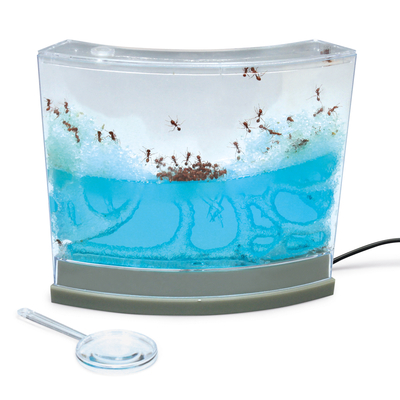 Gel Ant Farm With Led Base With Live Ants 1