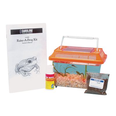 Raise A Frog Kit