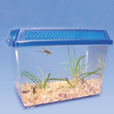 Aquatic Buddies Kit