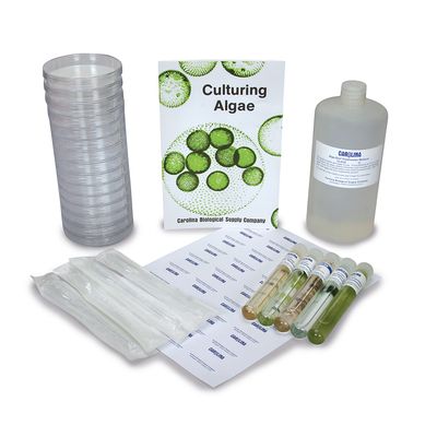 Algae Culture Kit Living