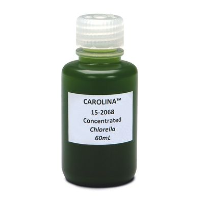 Chlorella Concentrated Living