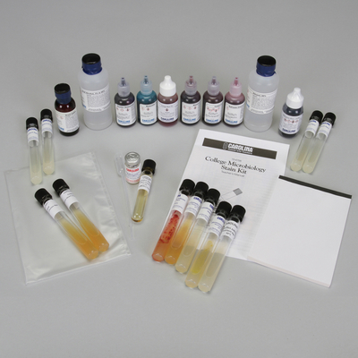 Microbiology Stain Kit College