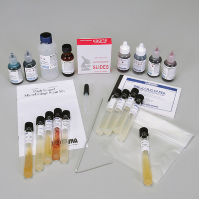 Microbiology Stain Kit High School Level