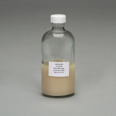 Skim Milk Agar Prepared Media Bottle 125 Ml