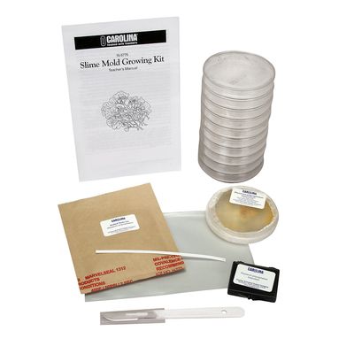 Slime Mold Growing Kit