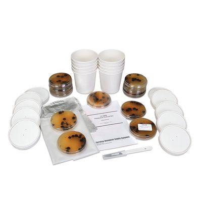 Pilobolus Shotgun Fungus Kit With Voucher