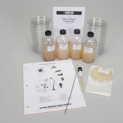 Dictyostelium Culture Kit With Voucher 1