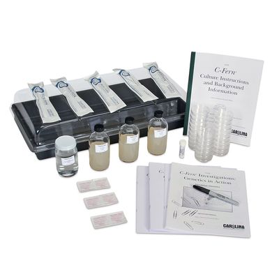 Genetics In Action Mendelian Genetics C Fern Kit Replacement Set