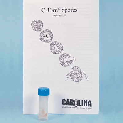 C Fern Spores Maleless Presterilized Vial Kit Sized