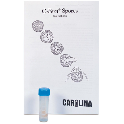 C Fern Spores Wild Type Unsterilized Vial Bulk Sized