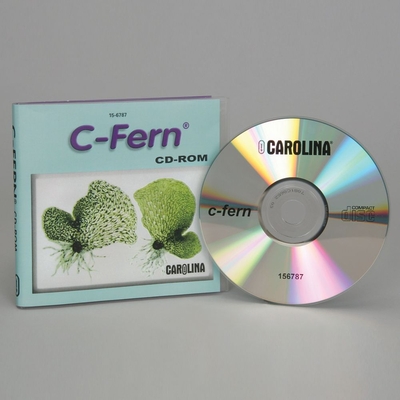 C Fern Image Cd Rom