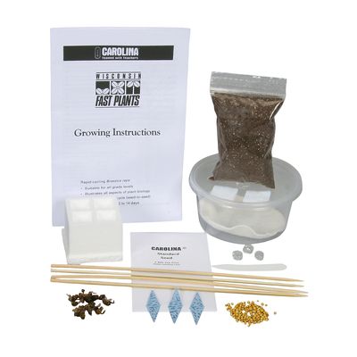 Wisconsin Fast Plants Trial Sized Get Acquainted Kit 1