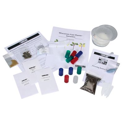 Wisconsin Fast Plants Dihybrid Genetics Student Kit