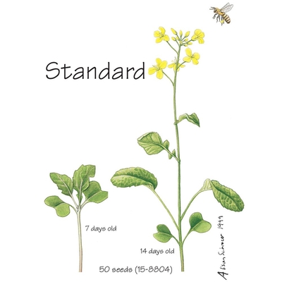 Wisconsin Fast Plants Standard Seed Pack Of 200