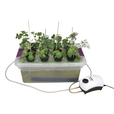 Visual Desktop Hydroponics Kit 1