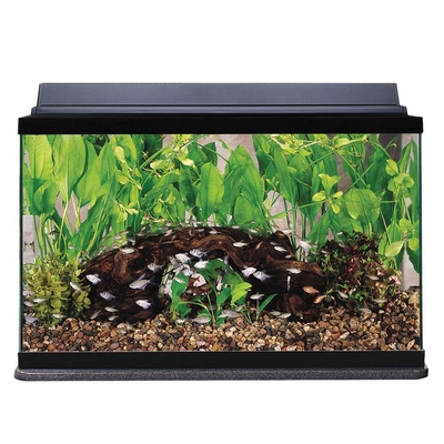 Bio Wheel Aquarium Kit 20 Gal