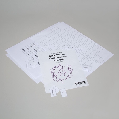 Biokits Human Chromosome Analysis Basic Kit