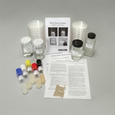 Lettuce Hormone Interaction Kit With Perishables