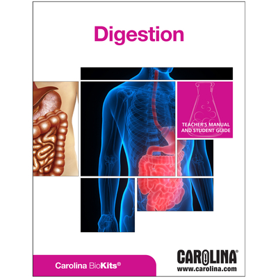 Digestion Digital Resources