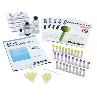 Exploring Electrophoresis of DNA 5-Station Kit | Carolina Biological Supply