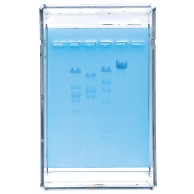 Exploring Restriction Analysis And Electrophoresis Of Dna Demonstration Kit 1