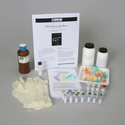 Dna Restriction Analysis Ethidium Bromide Kit With Perishables